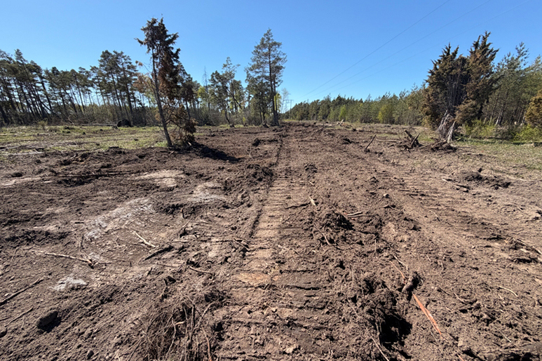 Gotland Grand National 2026 - banan har förbättrats