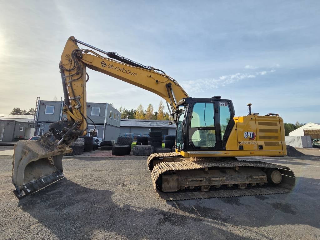 cat-323,2e98ca38.jpg